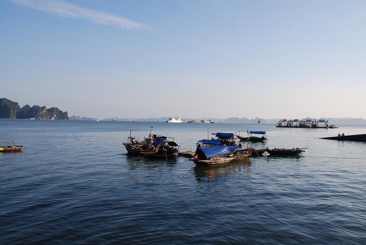 Acardy Cruise Lan Ha Bay