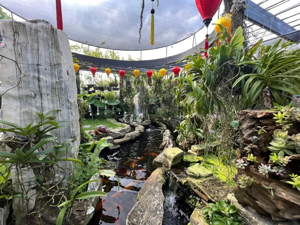 Paris Of Dragon Bay gallery image