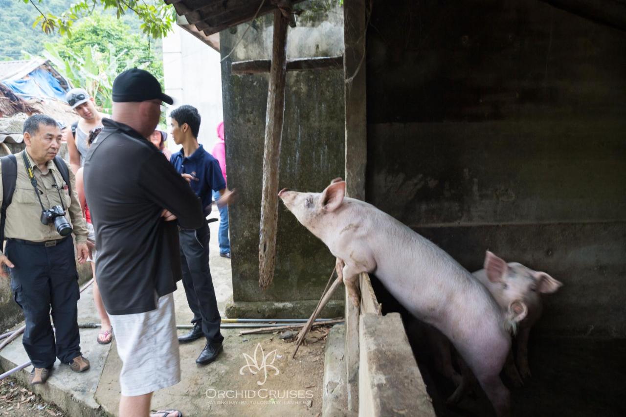 Mon Cheri Cruise - Image 28