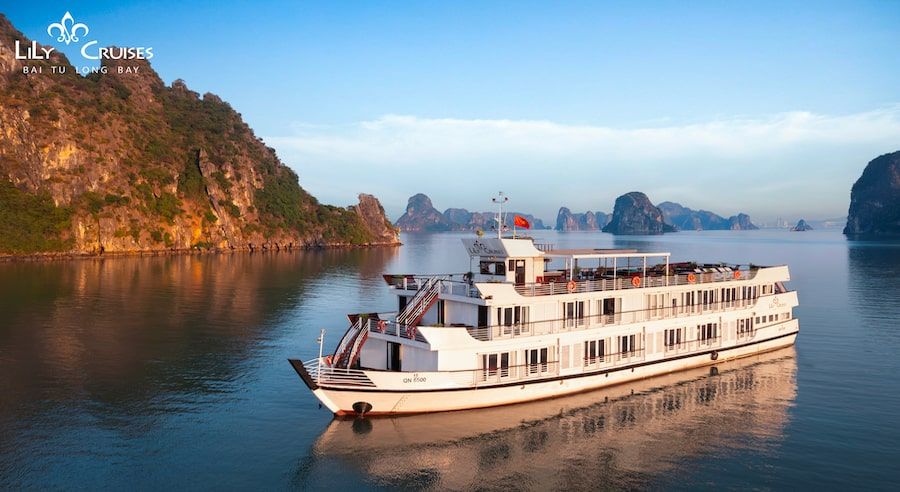 Lily Cruise