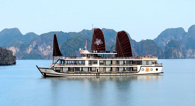 Orchid Trendy Cruise gallery image