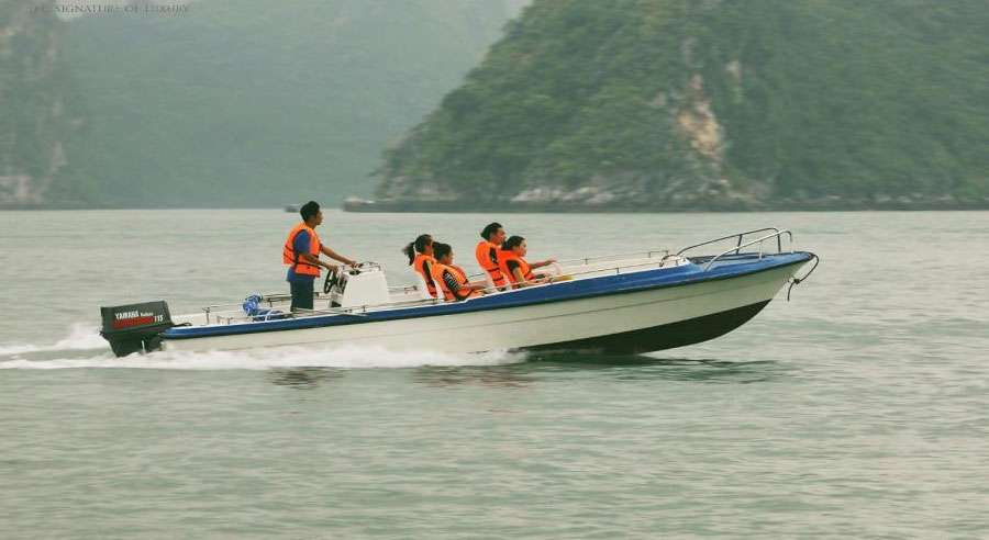 Royal Wings Cruise gallery image