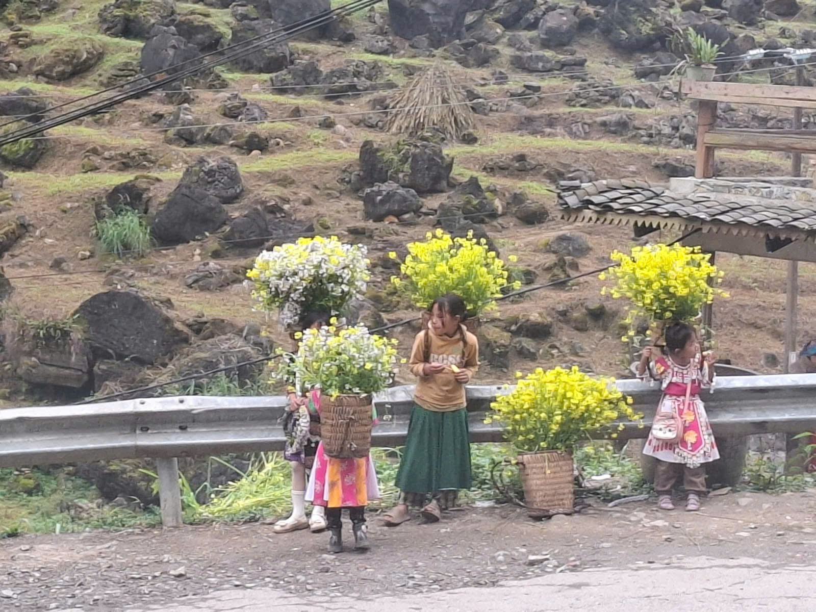 Ha Giang Loop Group Tour Self-Riding 3D2N