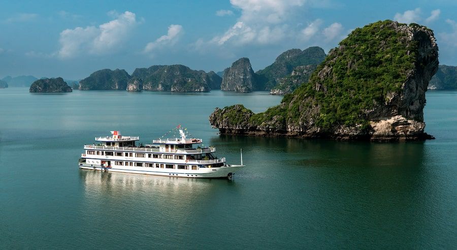 Swan Cruise gallery image