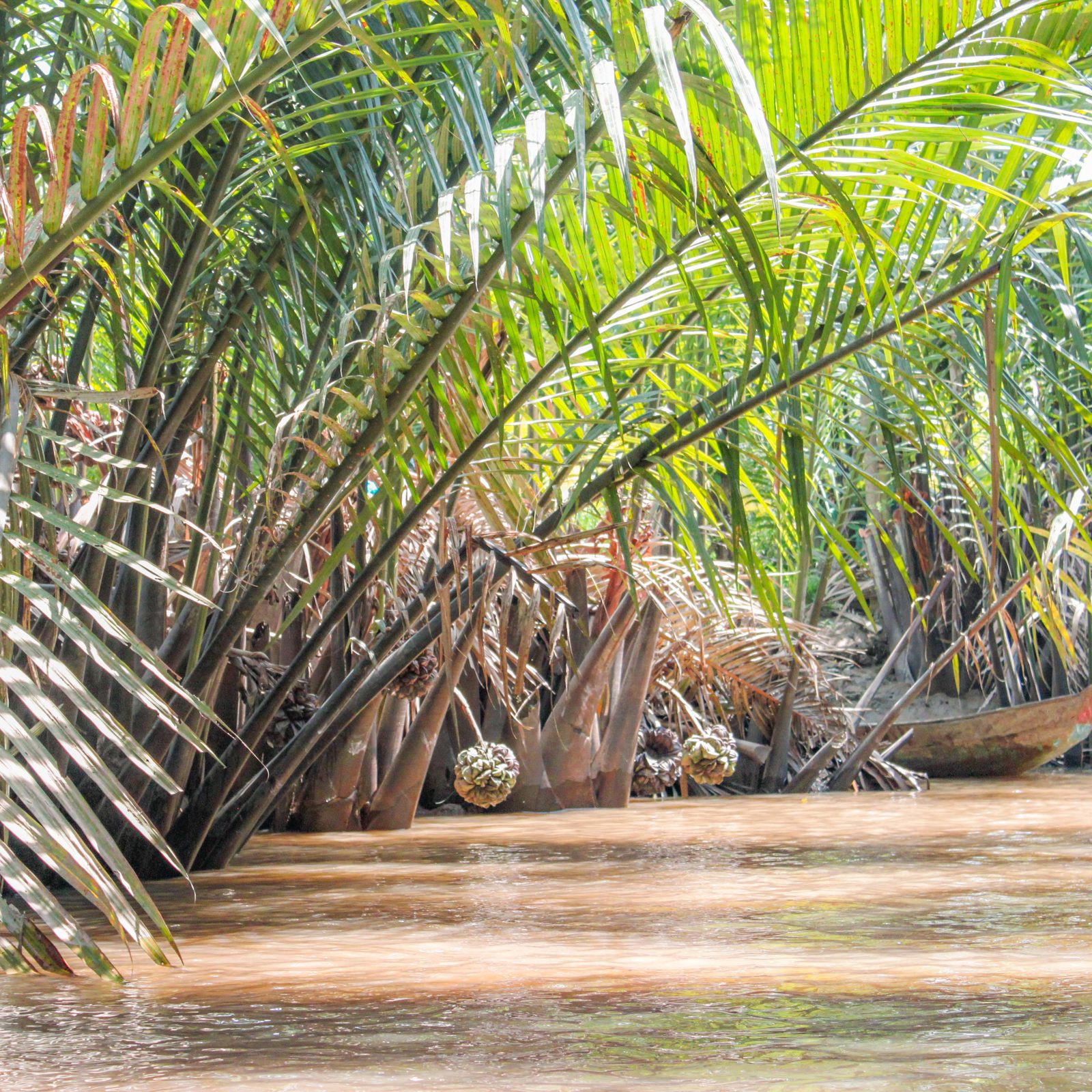 Cu Chi Tunnels & Mekong Delta Full Day Small Group Tour gallery image