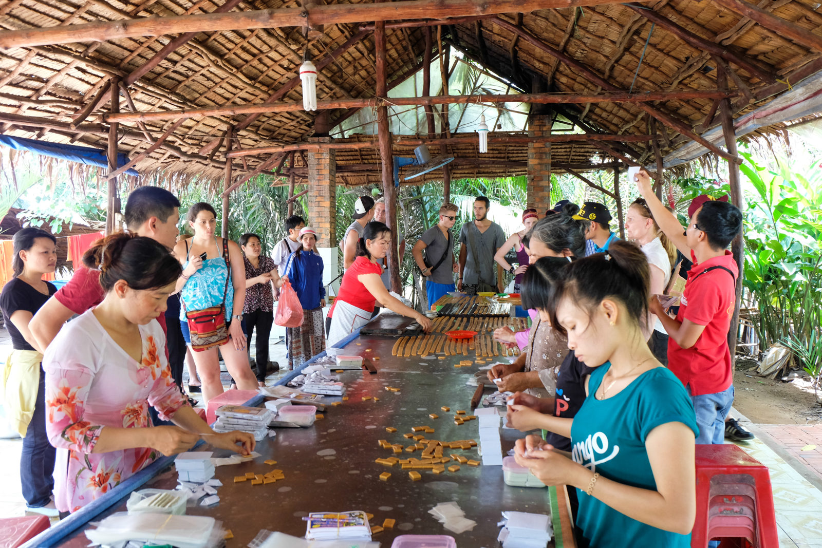 Cai Be ï¿½ Tan Phong Island Full Day gallery image