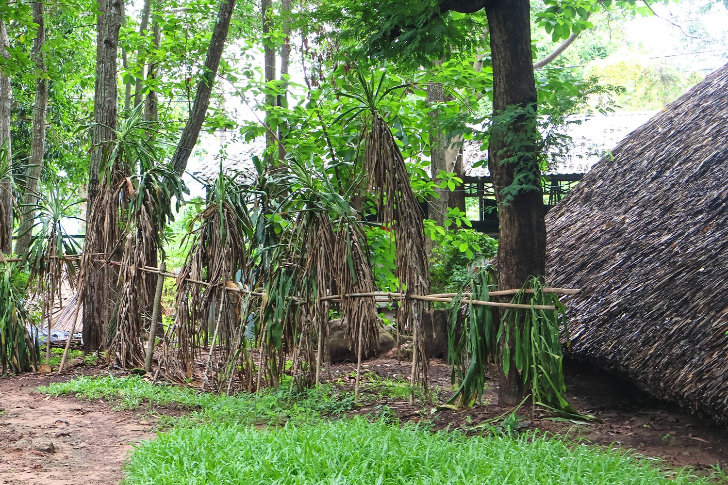 Cu Chi Tunnels Eco Boat Tour gallery image