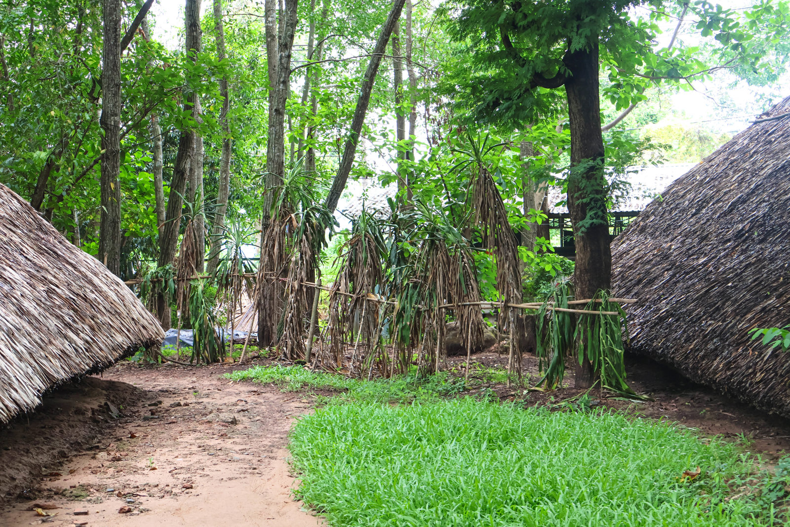 Cu Chi Tunnels Eco Boat Tour cover image