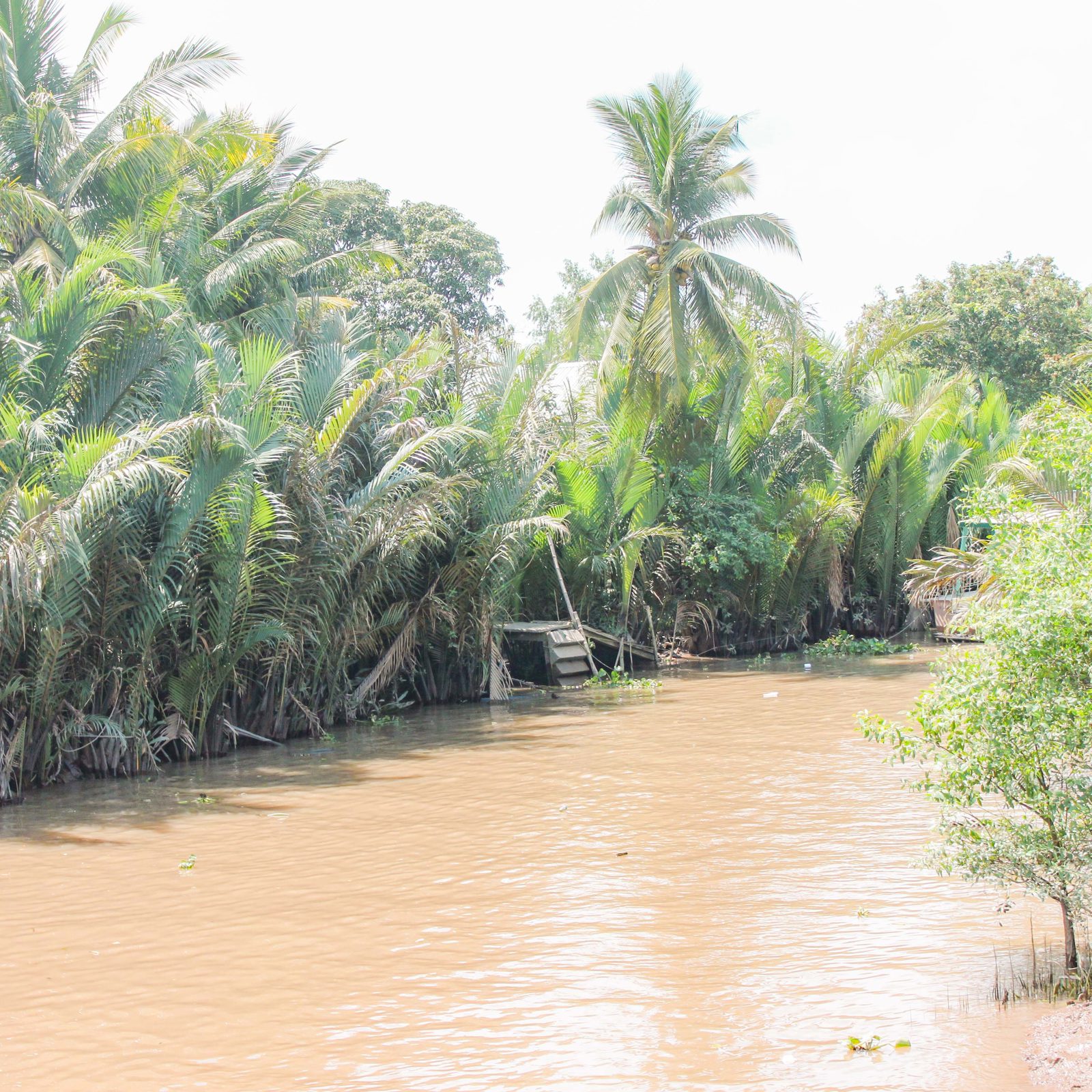 Cu Chi Tunnels & Mekong Delta Full Day gallery image