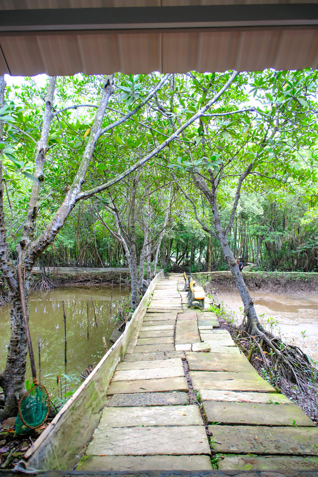 Can Gio Mangroves Monkey Island by Motorbike gallery image