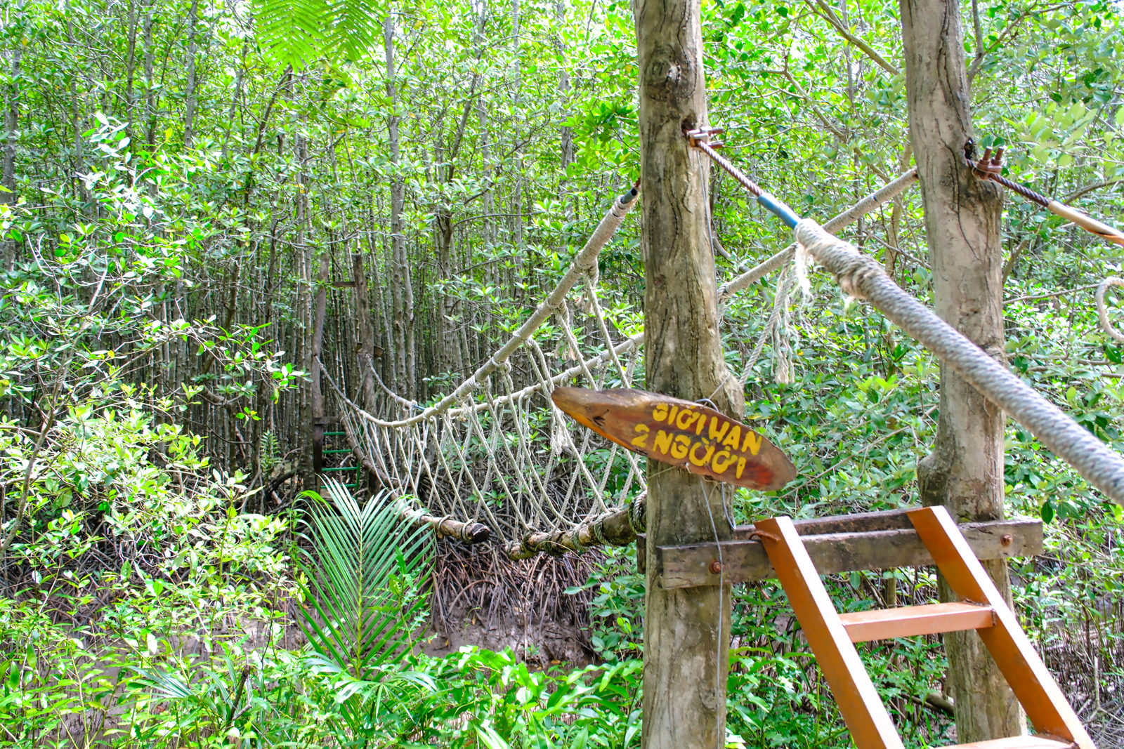 Can Gio Mangroves Monkey Island by Motorbike cover image