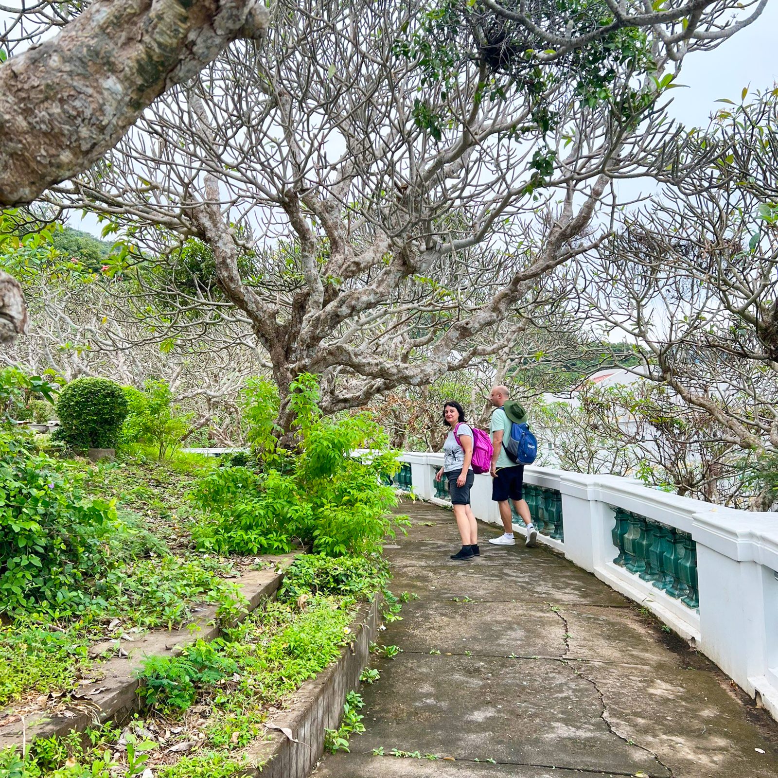 Private Phu My Port to Vung Tau Full Day cover image