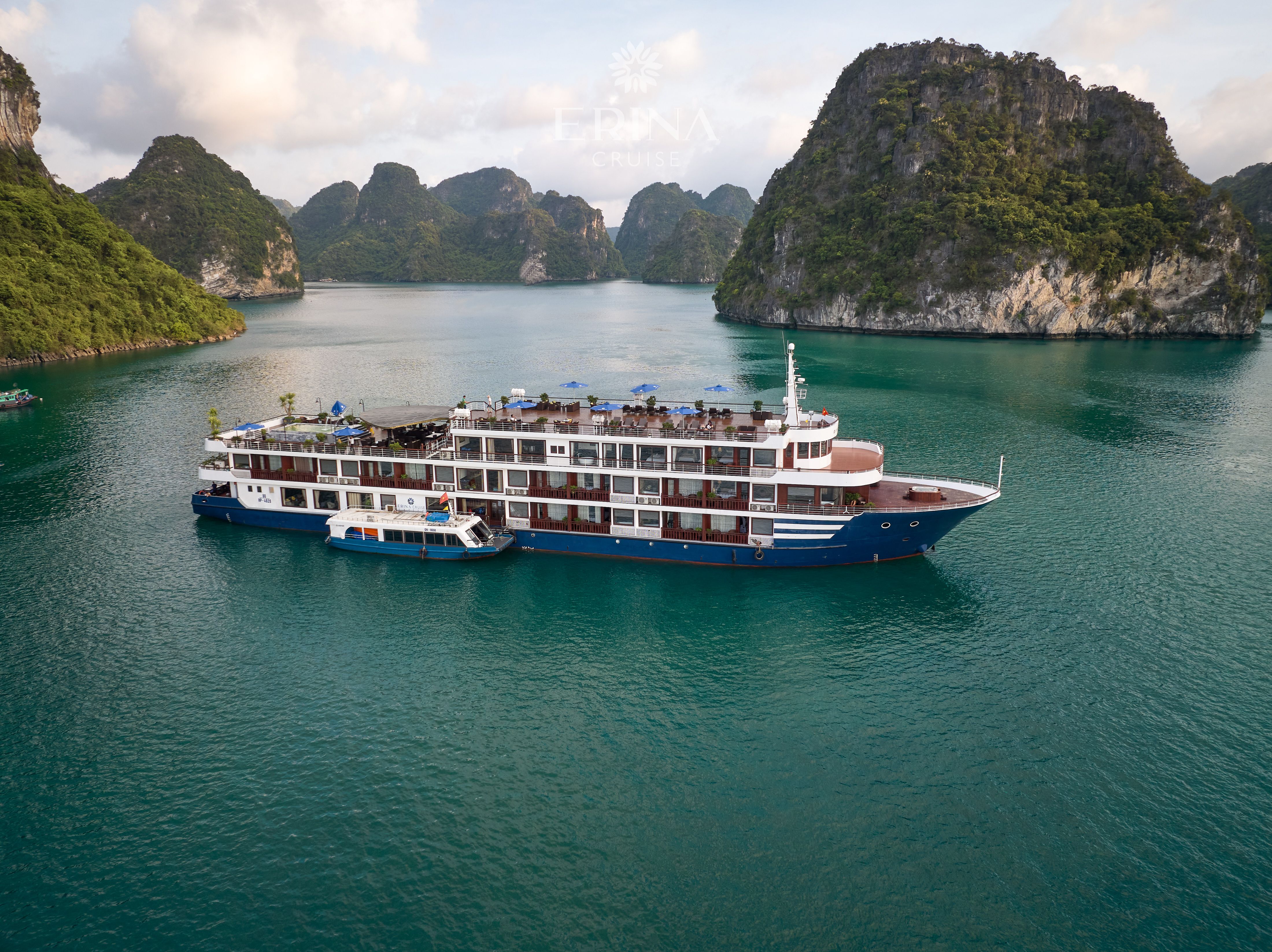 Erina Cruise - Image 5